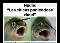 Enlace a Movimiento reflejo