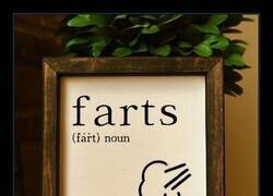 Enlace a La verdad sobre los pedos