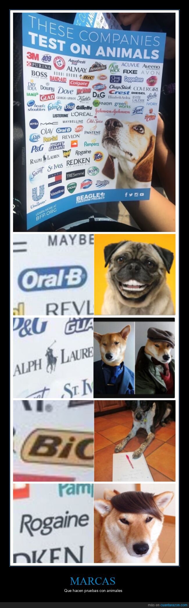 animales,marcas,pruebas