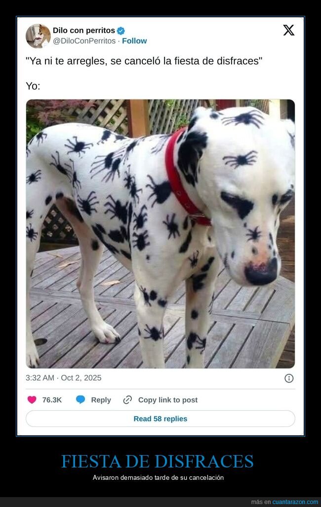 fiesta de disfraces,perro,dálmata,arañas