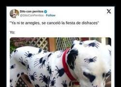 Enlace a Avisando tarde