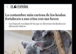 Enlace a El peor menú