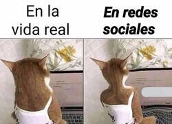 Enlace a Influencer promedio