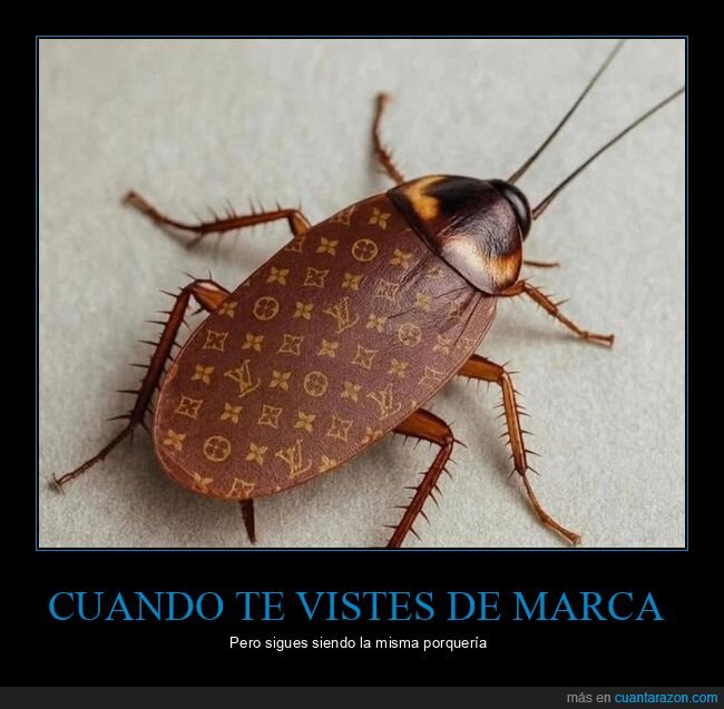 marca,cucaracha