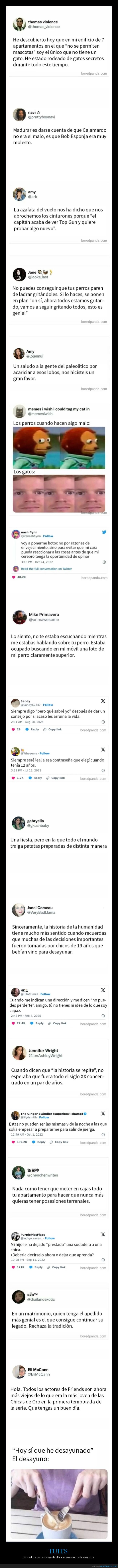 tuits,ofensivos,buen gusto