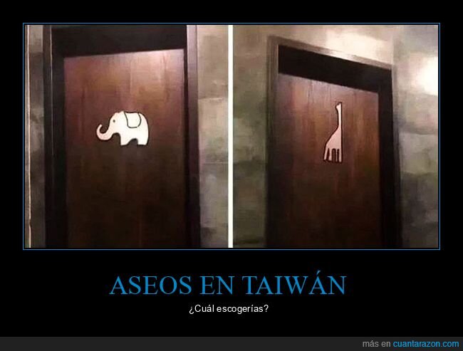 aseos,elefante,jirafa,taiwán
