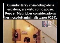 Enlace a Harry Potter era un afortunado