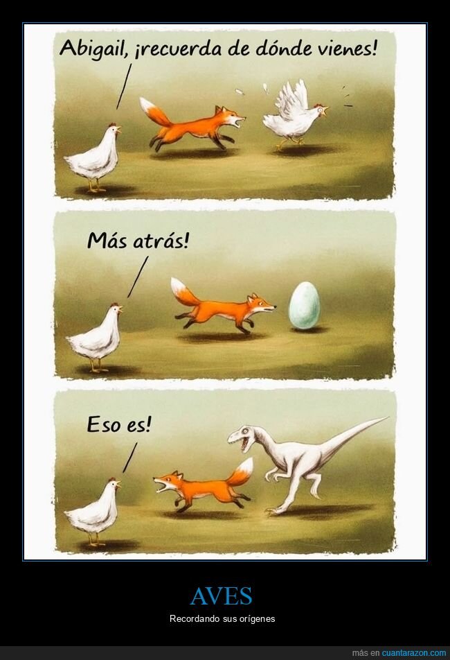 gallina,zorro,dinosaurio