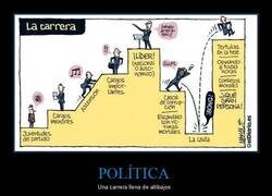 Enlace a La carrera promedio de un político