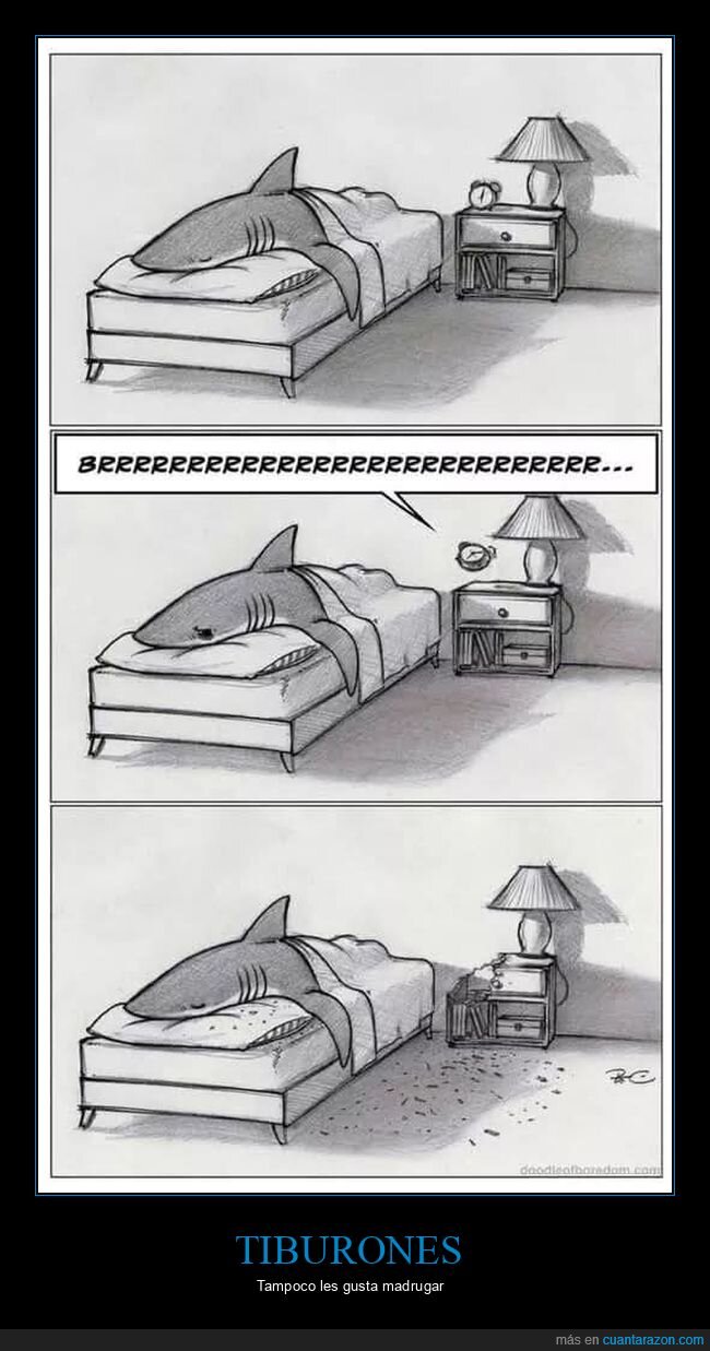 tiburón,despertador