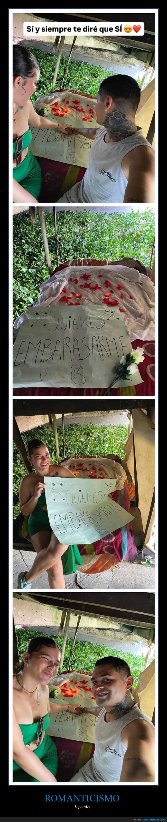 pareza,embarazar,ortografía,carteles