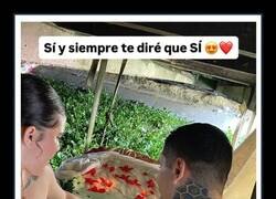 Enlace a Triunfó el amor