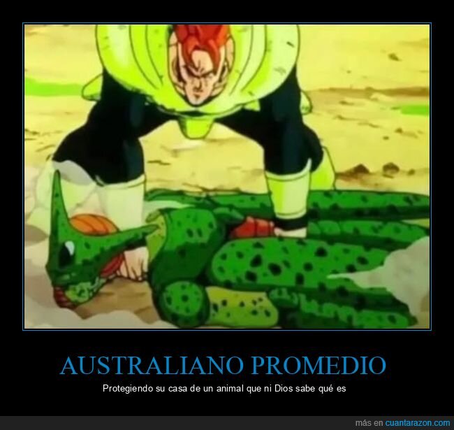 animal,australiano,dragon ball