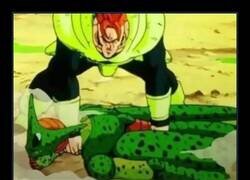 Enlace a Típico australiano