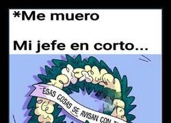 Enlace a Irresponsabilidad laboral