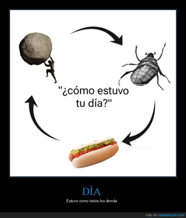 día,ciclo