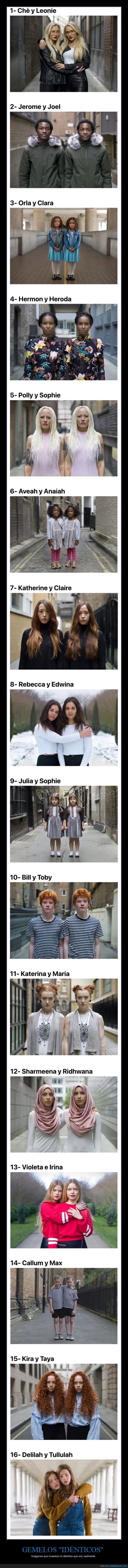 gemelos,idénticos,distintos