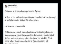 Enlace a Regreso al pasado