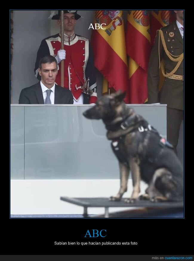 perro,pedro sánchez,políticos