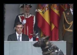 Enlace a Una foto muy intencionada