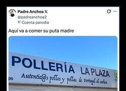 Enlace a Pollos de ambos géneros