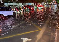 Enlace a Curioso avistamiento