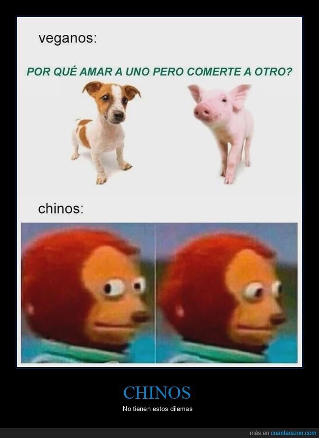 amar,cerdo,chinos,comer,perros,veganos