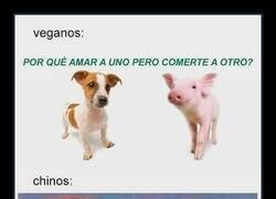 Enlace a Dilema occidental