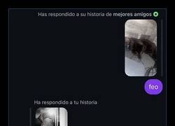 Enlace a ¿Qué le dices al gato?