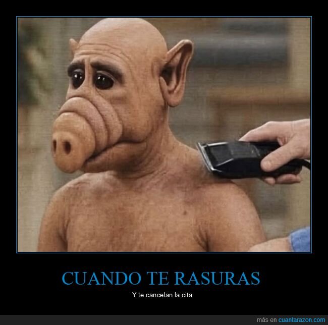 alf,cancelar,cita,rasurarse