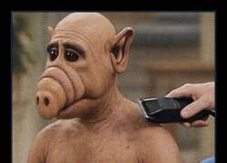 Enlace a Momento triste