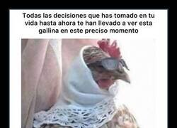 Enlace a Cosas del destino