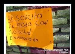 Enlace a Pobre diccionario...