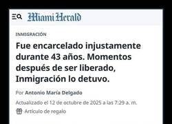 Enlace a Todo le sale mal