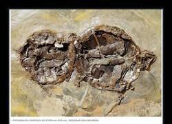 Enlace a Nada podrá separarlas