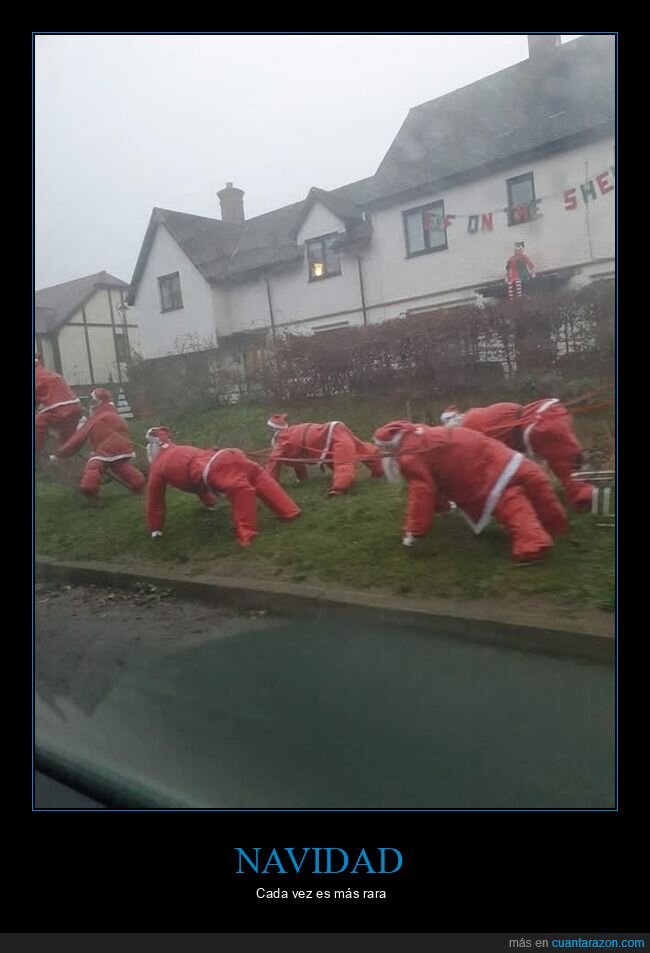 decoración,navidad,wtf