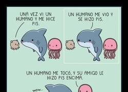 Enlace a Humanos y criaturas marinas