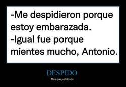 Enlace a Despido procedente