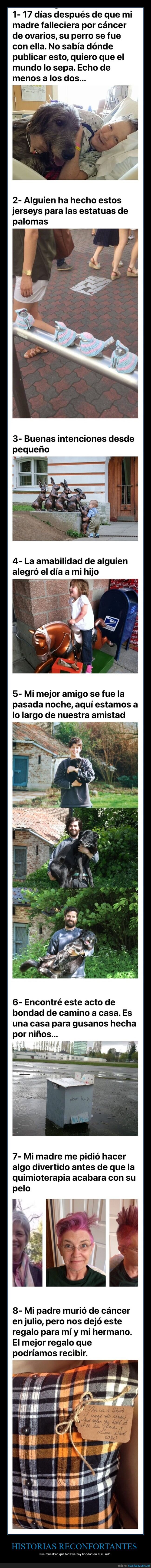 historias reconfortantes,bondad