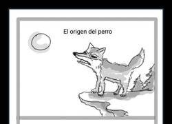 Enlace a ¿Qué les hemos hecho?