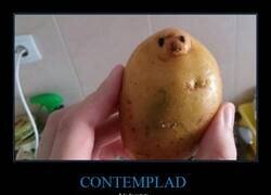 Enlace a Criatura mitológica