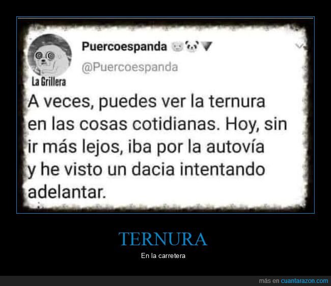 ternura,dacia,adelantando