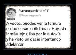 Enlace a Momento tierno