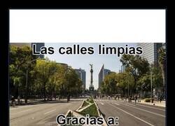 Enlace a Labores de limpieza