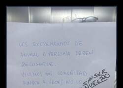 Enlace a Vecinos incívicos