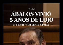 Enlace a La gran vida