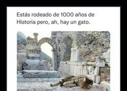 Enlace a Prioridades fotográficas