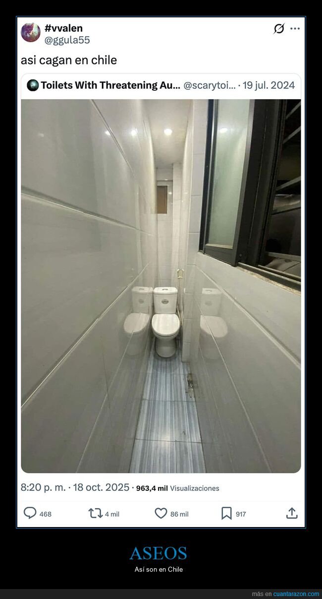 aseo,chile,váter,wtf