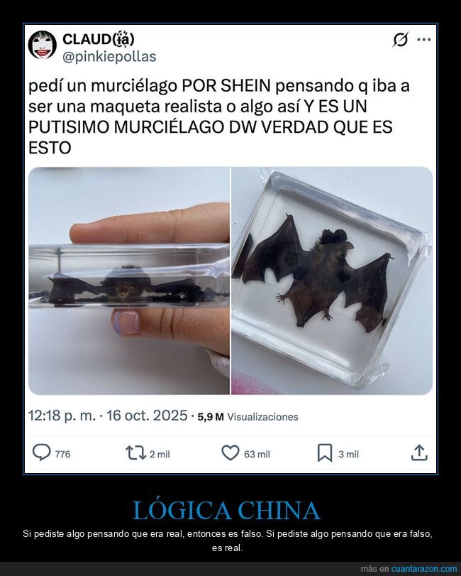 murciélago,shein