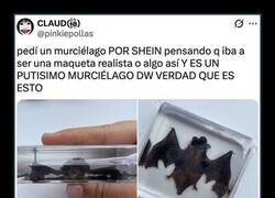 Enlace a Producto del Shein